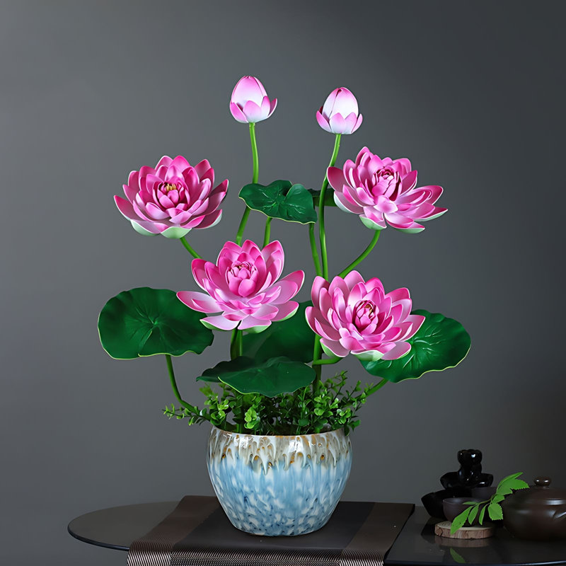 Ranunculus Arrangement in Pot, Rose