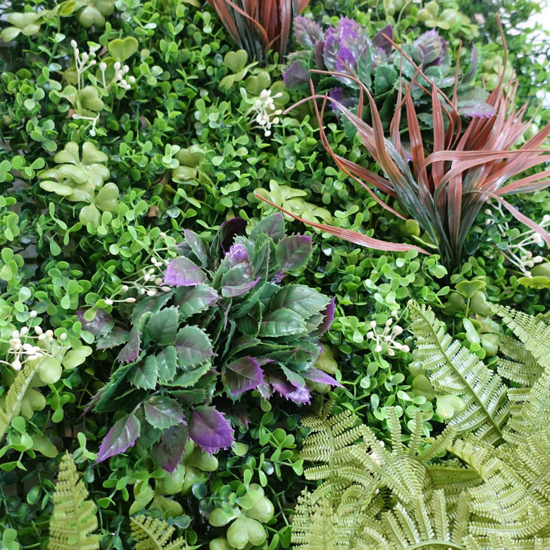Greenwall 100 Plant