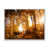 White Floater Frame selected