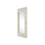 Turbinella Rectangle Wall Mirror