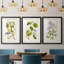 Arbre en fleurs I - reproduction sur mesure encadrée de qualité supérieure mate - 3 pièces-509831763-509831760