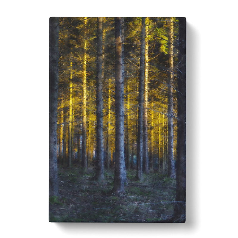 Sunlight Forest Vol.3 - Wrapped Canvas, 40cm H x 35cm W x 3cm D
