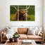 Brampt Highland Cow sur herbe-107997062
