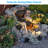 5CCT LED Outdoor Rock Lights, 5W Low Voltage Landscape Spotlights, Round Stone Light-111706676