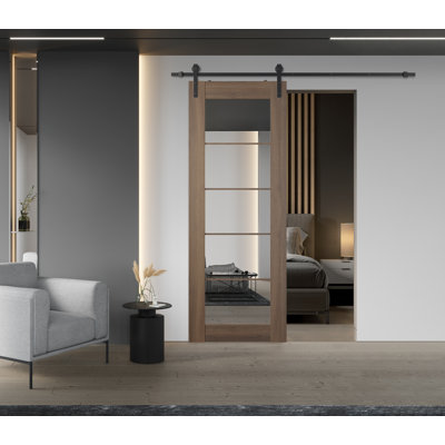 Avon 5 Lite Manufactured Wood And Mirrored Interior Barn Door With Installation Hardware Kit