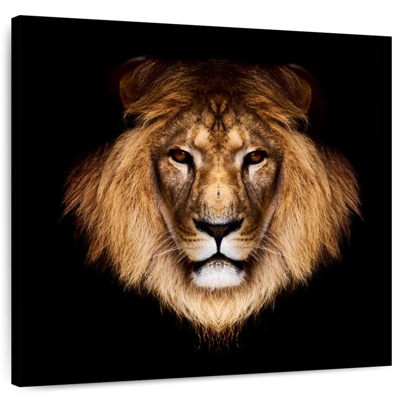 Brampt Solemn Lion, 24" H x 24" W