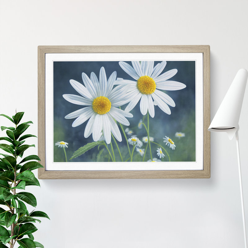 Pretty Daisy Flowers - Framed Print, 34cm H x 46cm W x 2cm D, Oak Framed