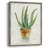 Succulent IV Framed Print - Solid Wood-302735838