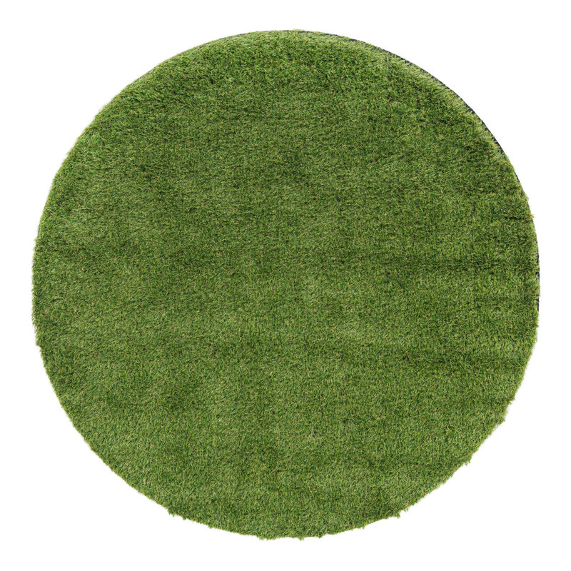 Tapis intérieur / extérieur Cathlyn, Rond 5 pi 1 po