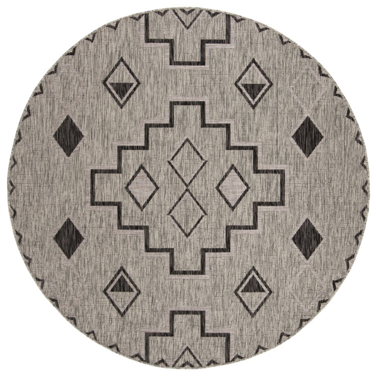 Amarien Southwestern Indoor/Outdoor Area Rug