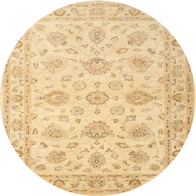Cherese Oriental Indoor Rug
