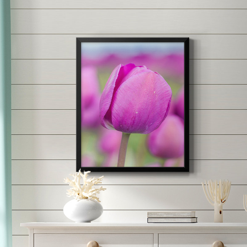 Toile encadrée de qualité supérieure Magenta Stem - prête à être accrochée, H 20 po x l 16 po, Noir