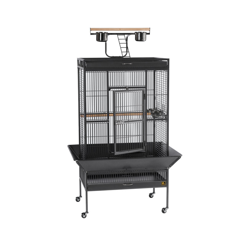 Cage à oiseau avec roues, support, perchoir, plateau Lucile, Moyen (H 65 po x l 22 po x P 24 po), Noir