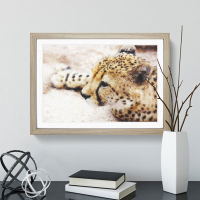 Cheetah Vol.1 - Framed Print