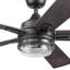 Ventilateur de plafond d'intérieur 52 po avec télécommande Myers Park et ensemble d'éclairage inclus