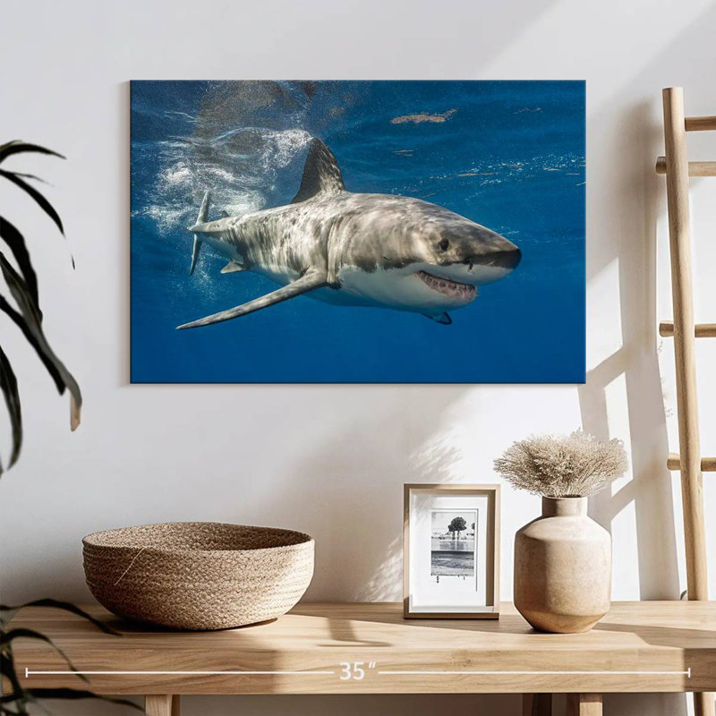 Shark, 16" H x 24" W