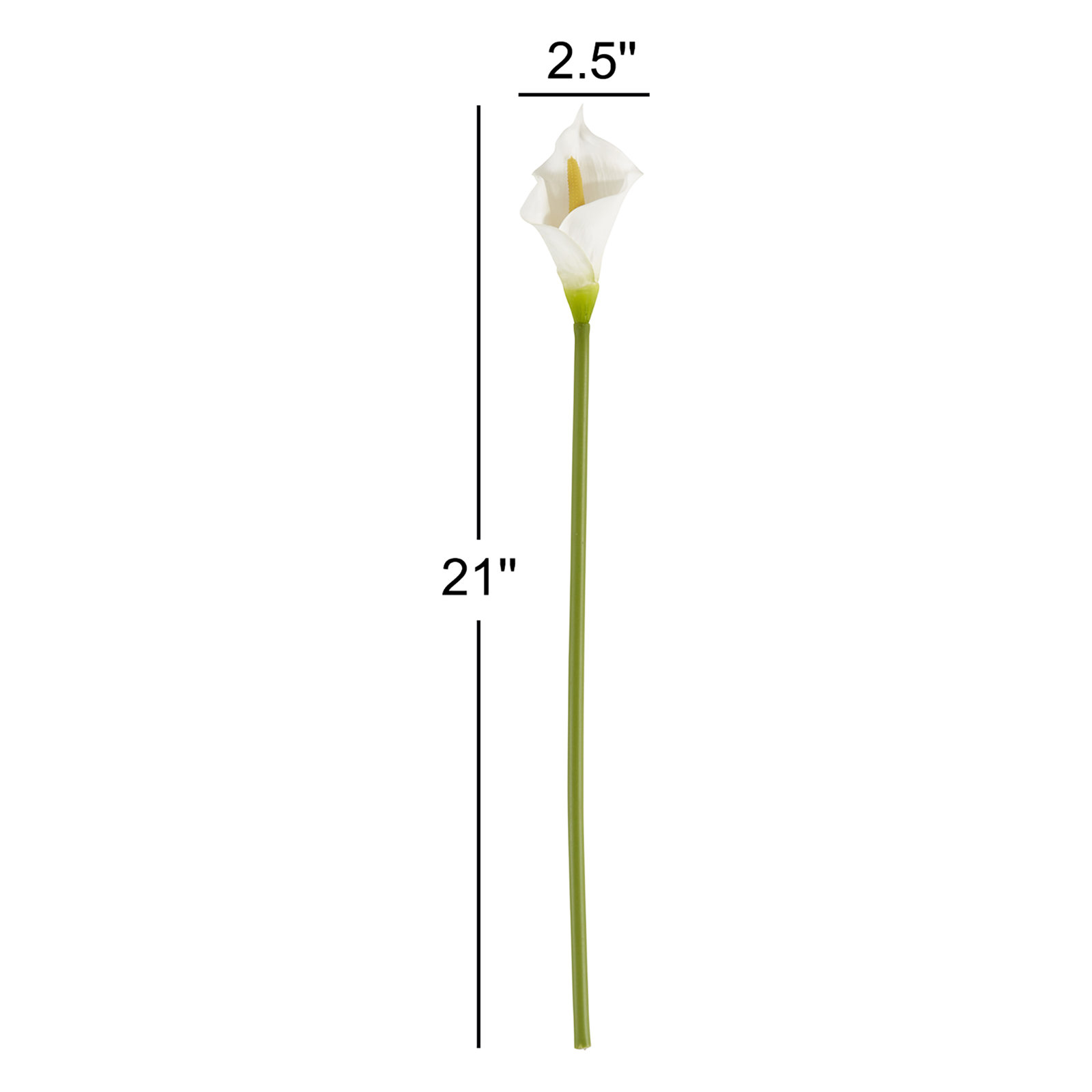 Rimma Calla Lily Stems