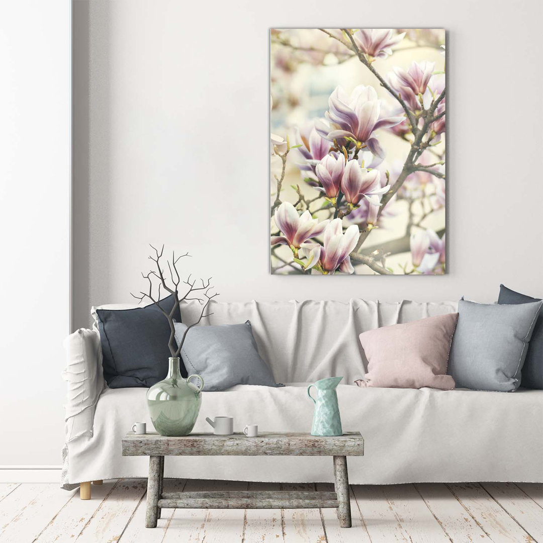 Magnolia - Kunstdrucke auf Leinwand