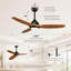 Ventilateur de plafond 52 po Modern -1432362590-1432362588