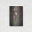 «Tulipes du printemps» par Debra Van S-101670020