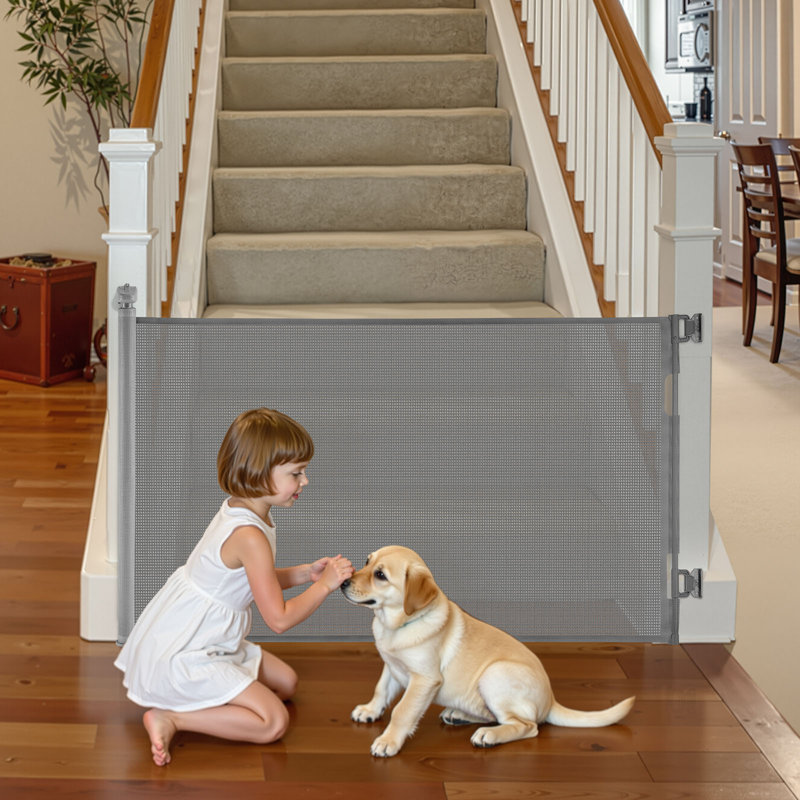 Barrière pour chien rétractable, Gris, H 41,1 po x l 61 po x P 2,4 po