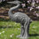 Heron Statue