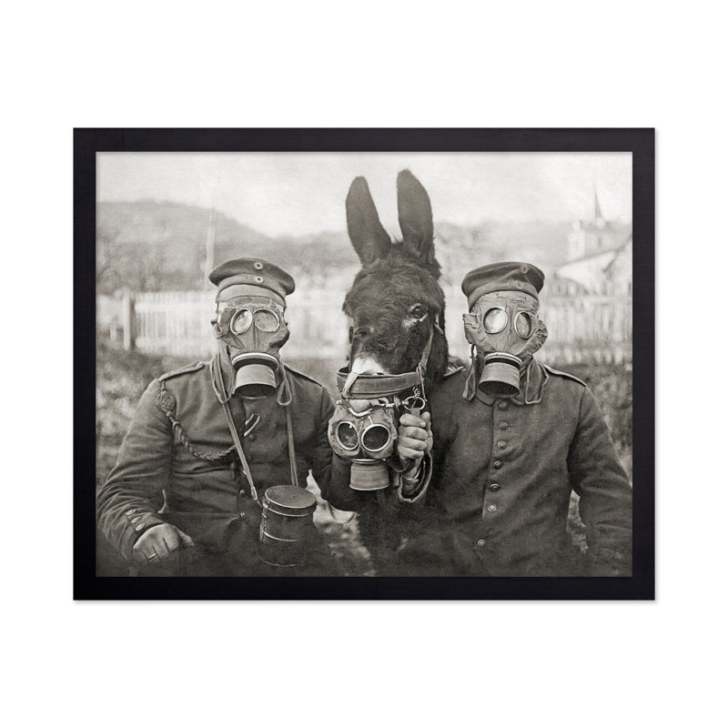 Âne et deux militaires, Cadre noir, Affiche, H 11 po x l 14 po