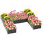 Lit de jardin surélevé en acier 8 pi x 8 pi Kidwell-2141679982