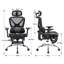 Wahson Office Chair Executive Manager Desk Chair with Adjustable Recline Ergonomic Computer Chair with Footrest for Office Workplace,-1565479960