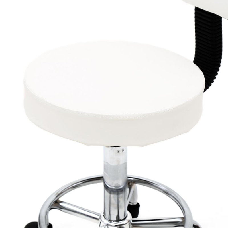 Backed Adjustable Height Ergonomic Lab Stool Wheels, White