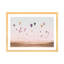 « air balloons », photographie-43719340-43719336
