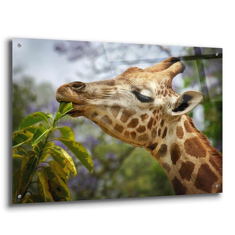 " Giraffe " by SD Smart, 24" H x 36" W