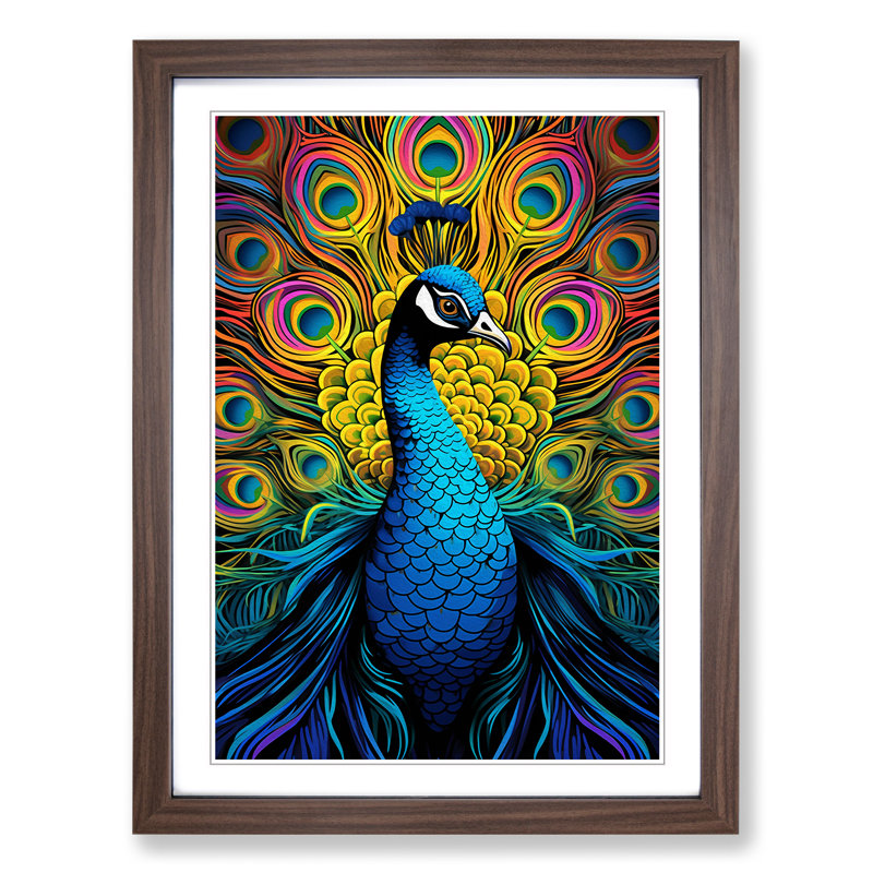 Peacock Op - Single Picture Frame Print on Wood, Walnut Framed, 34cm H x 25cm W x 2cm D