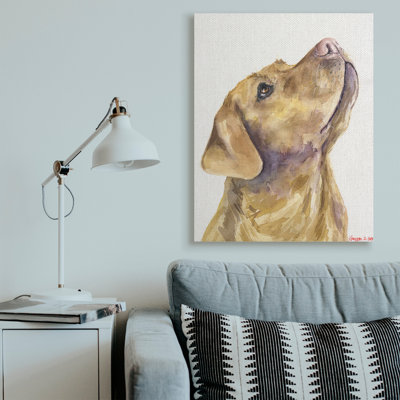 Portrait d'un chien jaune