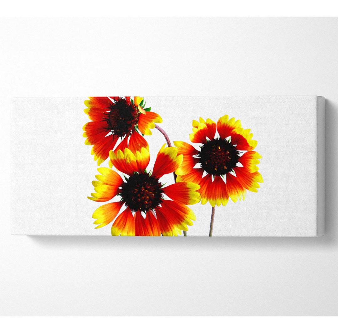 Sun Flower Trio - Panorama-Kunstdrucke auf Leinwand