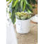 KitchenCraft Abstract Face Planter, Dolomite, White / Grey