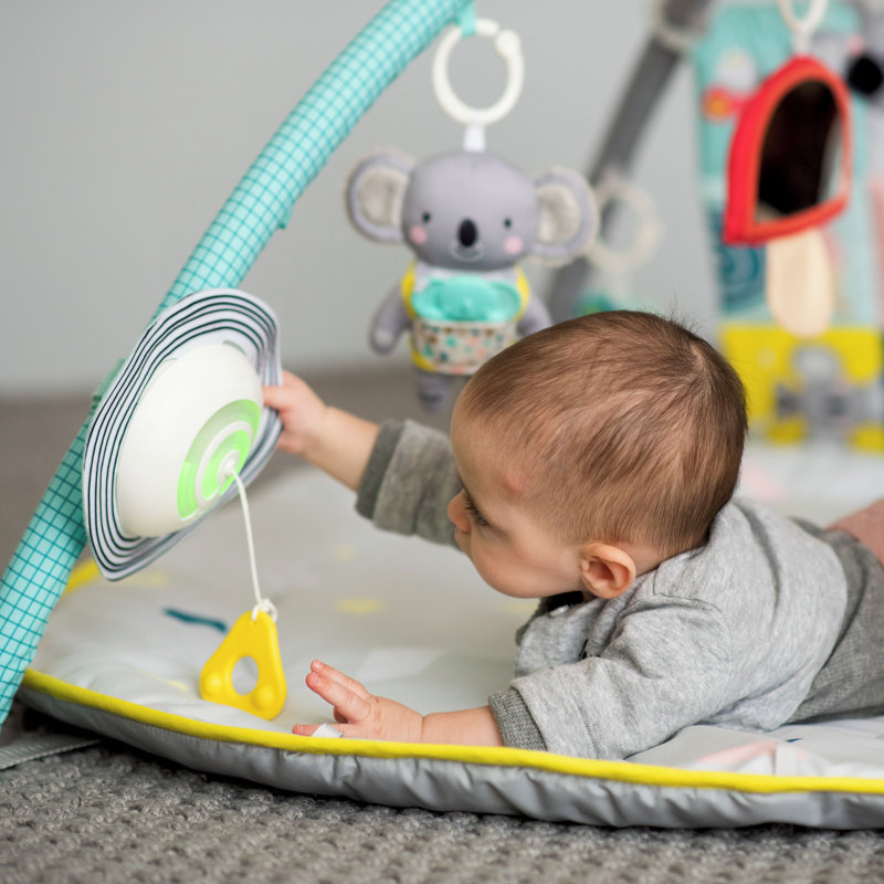 Baby Gym Mat