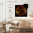 Oberle Solar Flare-109369419