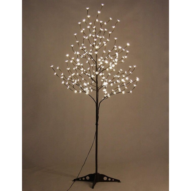 LED Trees & & Reviews | Birch Lane