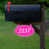 Rose vif