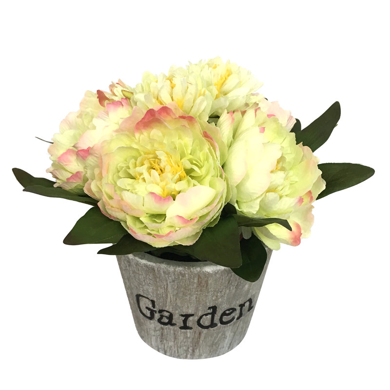 Arrangement floral de pivoines en pot, Jaune