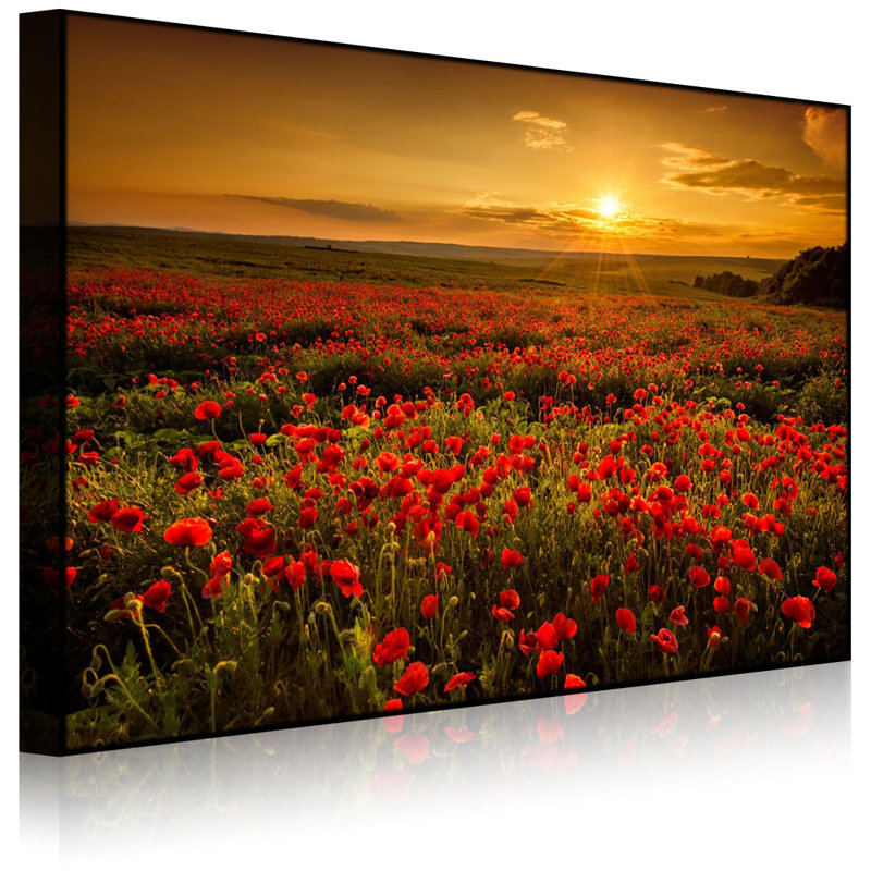 Poppy Flower Field At A Dreamlike Sunset by No - Wrapped Canvas Print, Without lighting, 70cm H x 100cm W x 4.5cm D