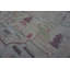 Tapis à poils bouclés Antique American