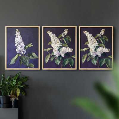 Série d'étude florale Lxxviii - ensemble de 3 estampes giclées encadrées - prêt à être accroché