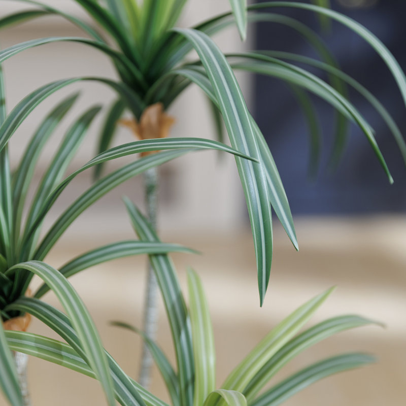 Ensemble de 2 arbres artificiels Dracaena | Real Touch de 28 po, parfait pour les décors intérieurs et extérieurs
