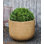 Contour Handmade Planter