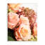 Rose rose, fleurs et géraniums, bouquet de printemps-65639686-65639690