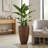 Kronberg Textured Resin Tall Pot Planter-1737614539-1671128568