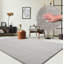 Taurasi 300cm X 400cm Area Rug