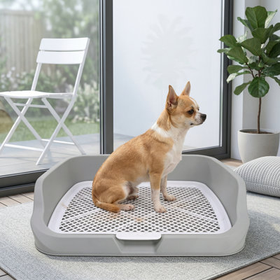 XL Dog Litter Box, Pee Pad Holder, Includes Box, Pee Pad & Cloth, Puppy Potty Training Tray For Small/Medium Dogs